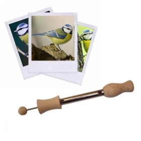 Appeau de la Mésange Bleue...