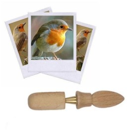 Appeau du Rouge-gorge - Les...