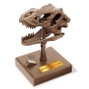 4M Crâne de T-Rex rugissant