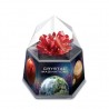 4M Cristal à faire pousser - rouge
