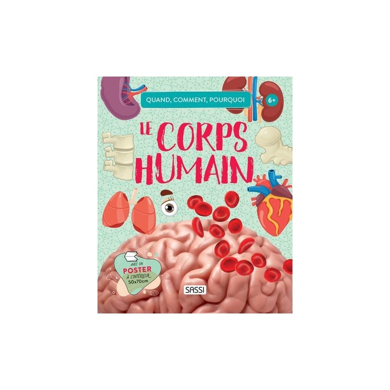 Quand, comment, pourquoi? - Le corps humain Quand, comment, pourquoi? - Le corps humain