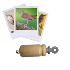 Appeau du Rossignol...