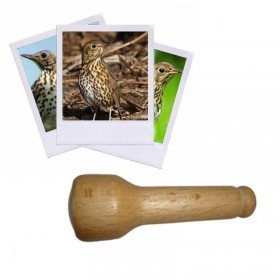 Appeau de la Grive...