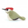 Oiseau Woodpecker