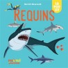Requins : 10 pop-up