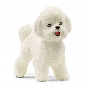 Bichon Frisé - Farm World