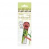 Graffy Bookmark - Dinosaures