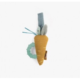 Hochet anneau de dentition...