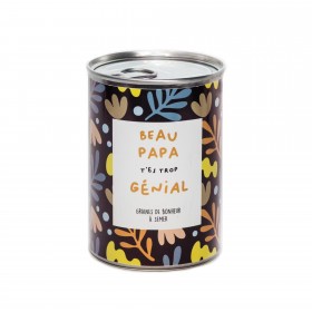 Kit à semer - Beau papa...