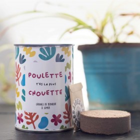 Kit à semer - Poulette t'es...