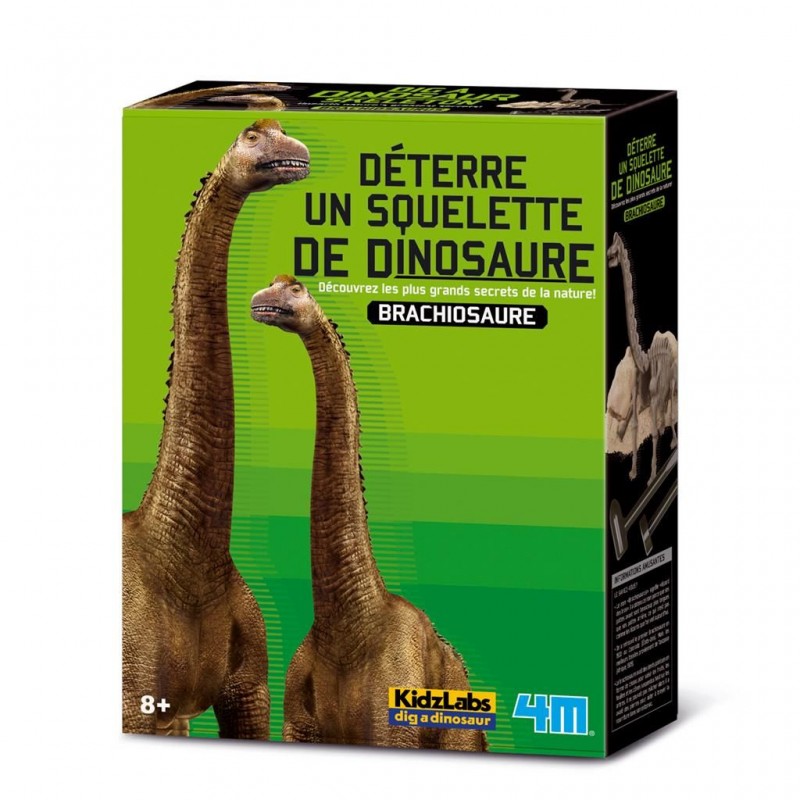 4M Déterre ton dinosaure (Brachiosaure)