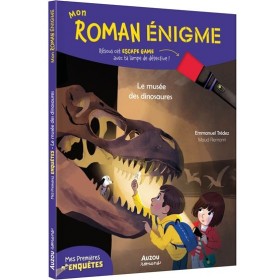 MON ROMAN ENIGME - MES...