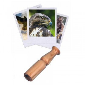 Appeau de la Buse Variable...