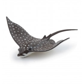 Raie léopard - L'univers marin