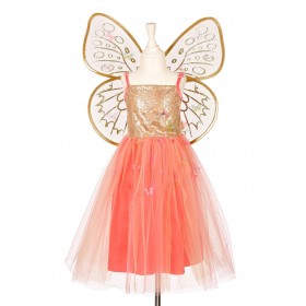 Robe de fée avec ailes...