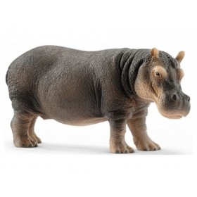 Hippopotame - Wild Life