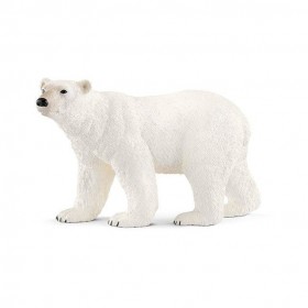 Ours polaire - Wild Life