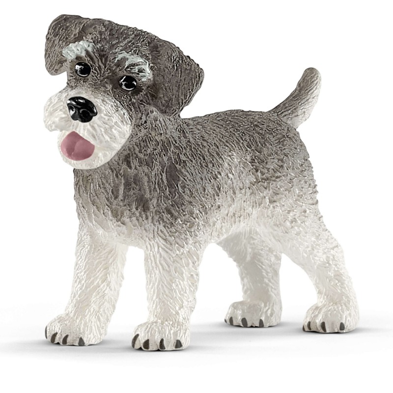 Schnauzer nain - Farm World Schnauzer nain - Farm World