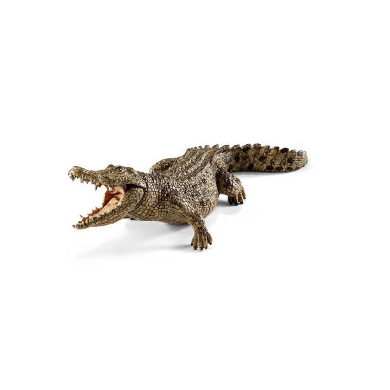 Crocodile - Wild Life Crocodile - Wild Life