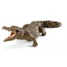 Crocodile - Wild Life