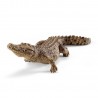 Crocodile - Wild Life