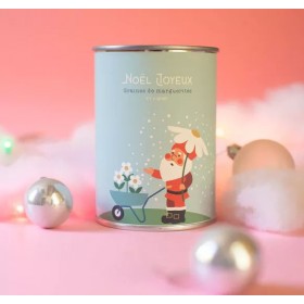 Kit à semer - Noël Joyeux...