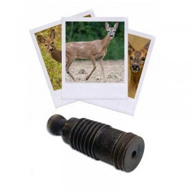 Appeau du Chevreuil...