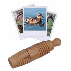 Appeau de la Cane - Les Zapos