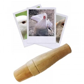 Appeau de l'Oie - Les Zapos