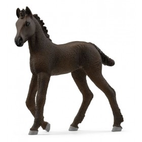 Poulain Frison - Horse Club