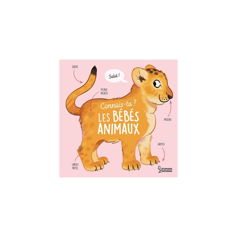 Connais-tu les bébés animaux ? Connais-tu les bébés animaux ?