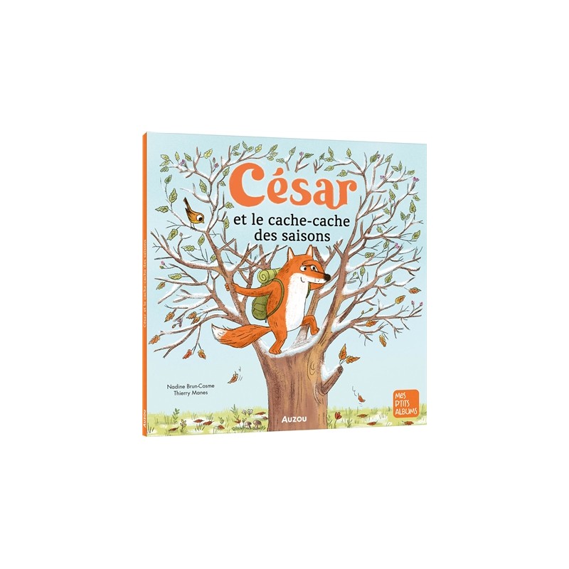 CESAR ET LE CACHE CACHE DES SAISONS