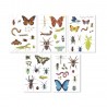 50 stickers - Insectes