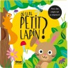 Où es-tu petit lapin ?