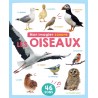 MON IMAGIER SONORE - MON IMAGIER SONORE - OISEAUX