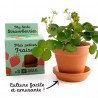 Kit terre cuite 8 cm - Mes petites fraises