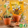 Carte nature - Fleurs des abeilles