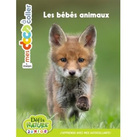 Mes docs à coller Bioviva :...
