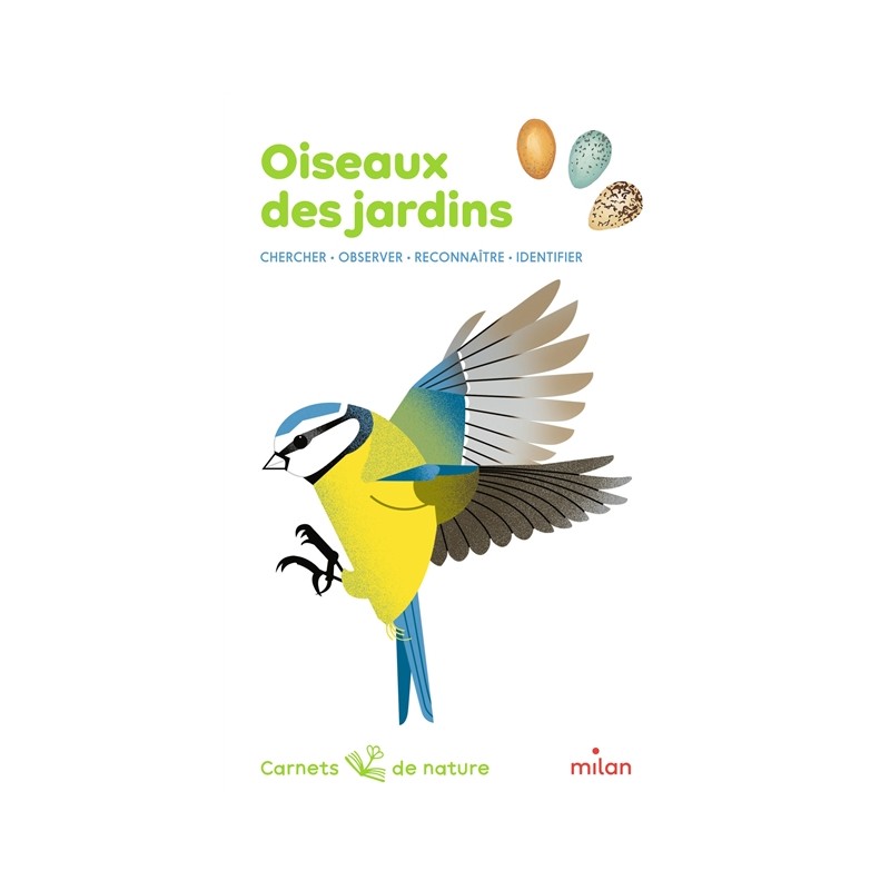 Oiseaux des jardins : chercher, observer, reconnaître, identifier