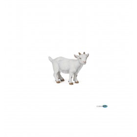 Chevreau blanc