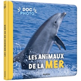 Mon premier doc photo - Les...