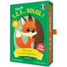 JEUX DE CARTES - JEU DE 1, 2, 3... SOLEIL !