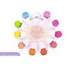 Set de 10 pinces fleurs multicolores