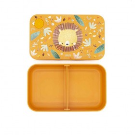 Lunchbox en plastique...