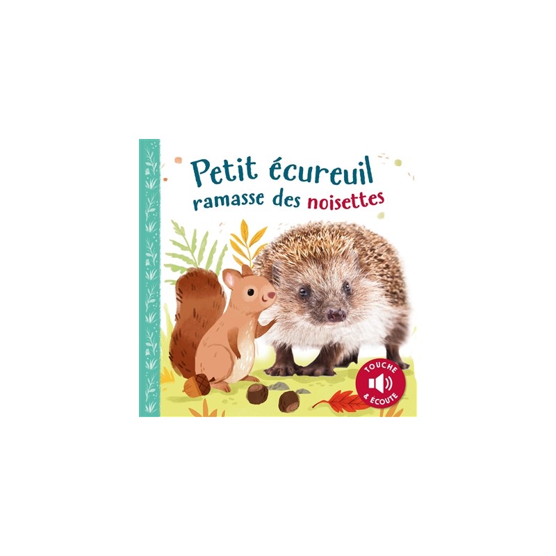 Petit Ecureuil ramasse des noisettes