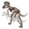 4M Deterre ton dinosaure (Tyrannosaurus Rex)