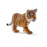 Jeune tigre du Bengale - Wild Life