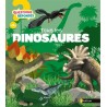 Tous les dinosaures - Questions réponses