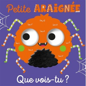 Petite araignée, que vois-tu ?