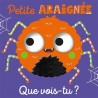 Petite araignée, que vois-tu ?